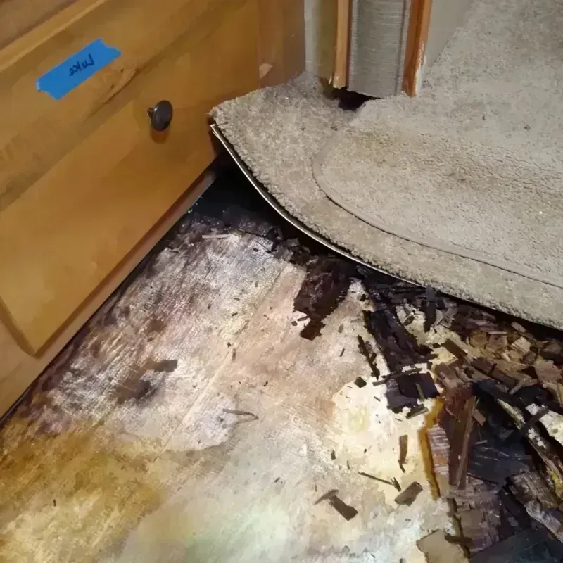 Best Wood Floor Water Damage Service in Bainbridge, OH